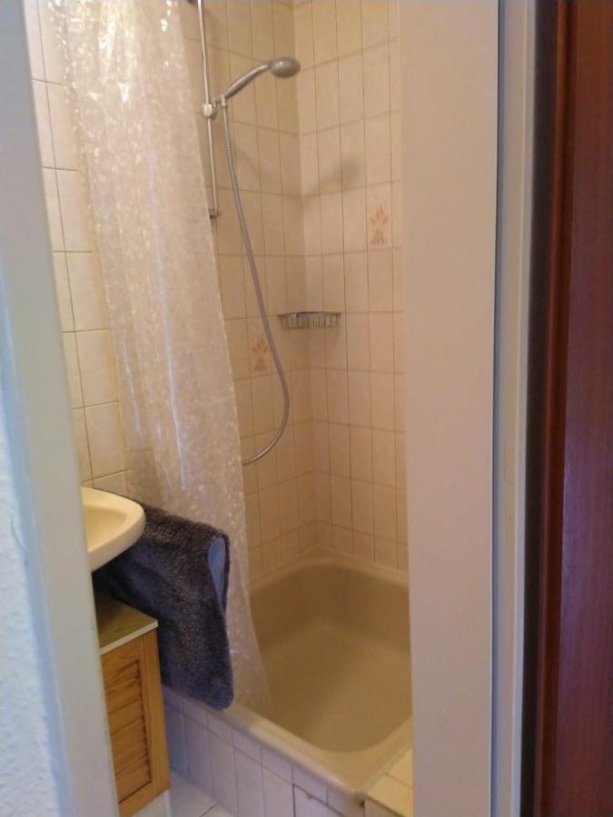Kleine Ferienwohnung, Einzimmeraparment In Altenkirchen Almersbach 外观 照片