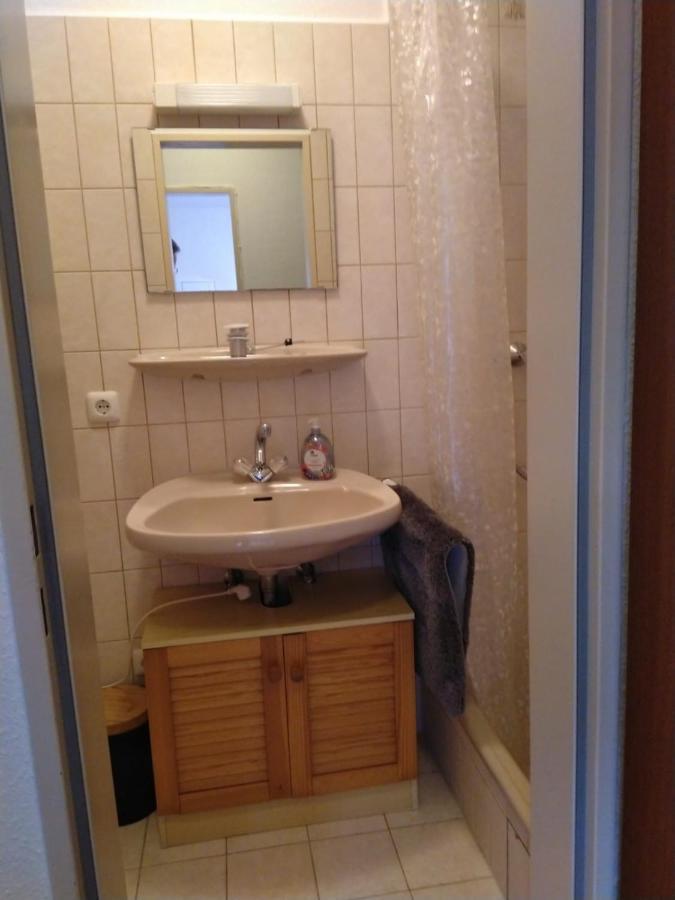 Kleine Ferienwohnung, Einzimmeraparment In Altenkirchen Almersbach 外观 照片